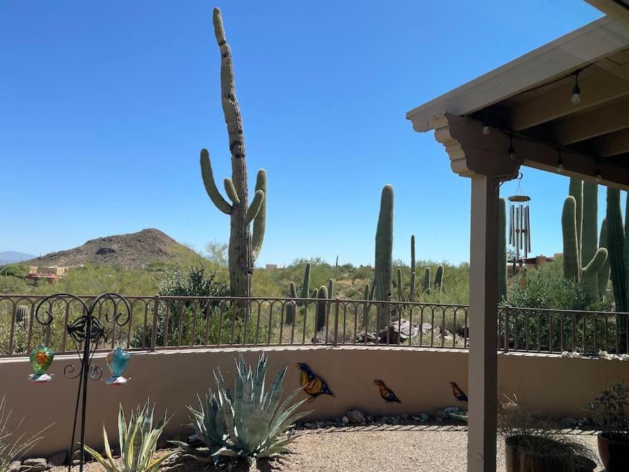 Tucson Mnt Foothills Saguaro Bliss Exterior foto