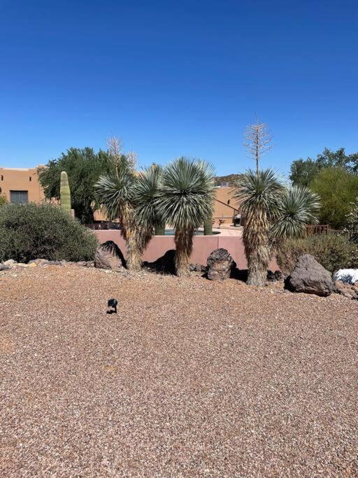 Tucson Mnt Foothills Saguaro Bliss Exterior foto