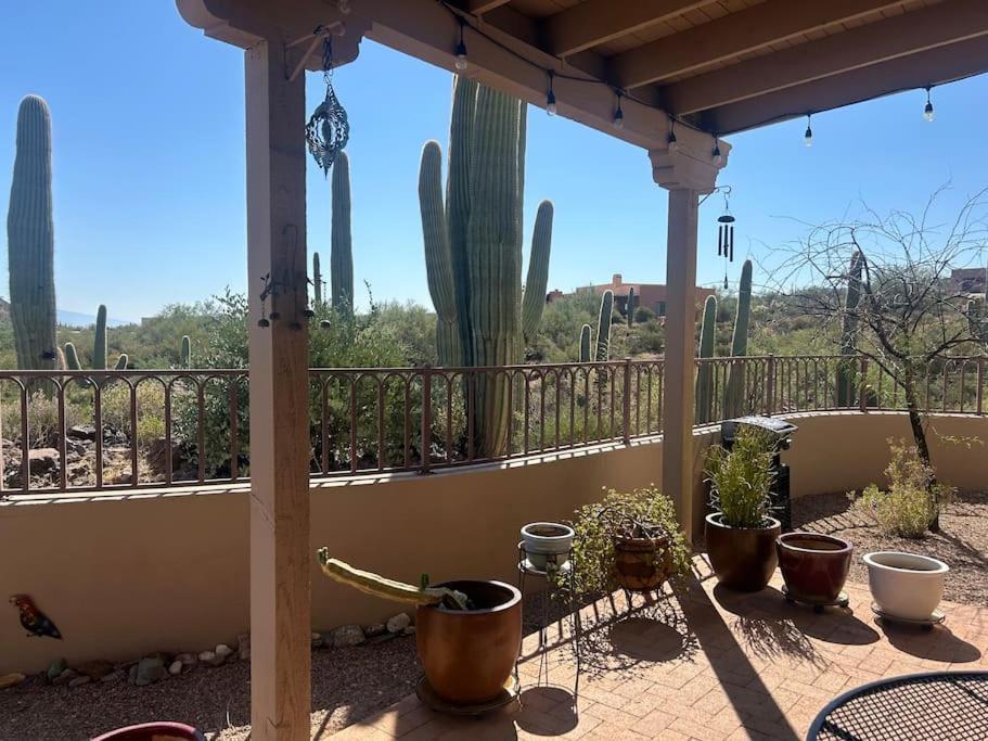Tucson Mnt Foothills Saguaro Bliss Exterior foto